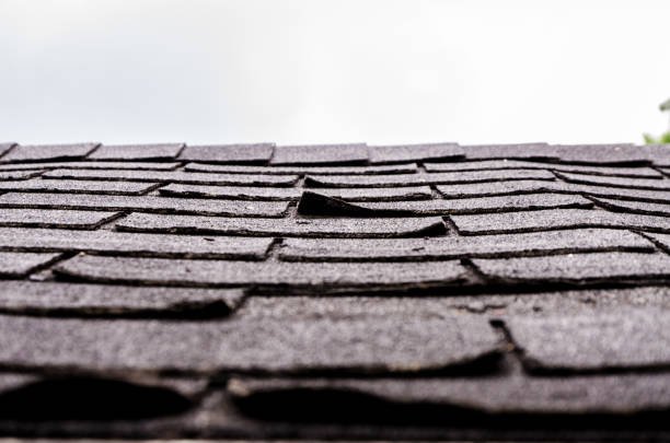 Wind hail damage shingles