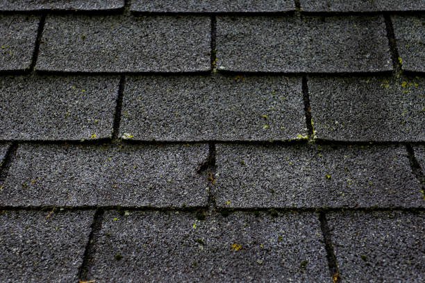 istockphoto 1326685811 612x612 1