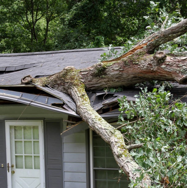 Storm Damage Roof Repair in Bee Cave, TX