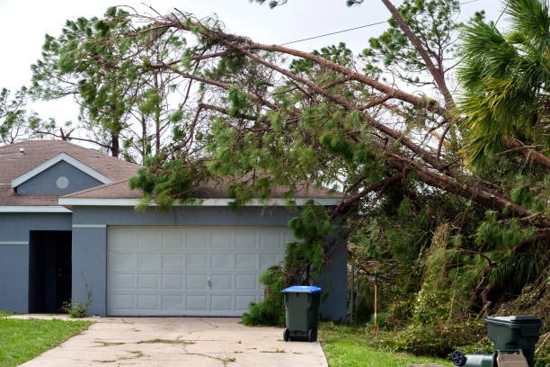 Storm Damage Roof Repair in Spicewood, TX
