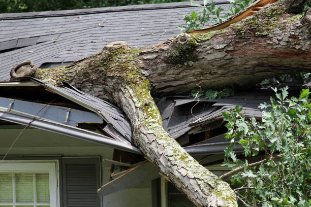 Storm Damage Roof Repair in Dripping Springs, TX